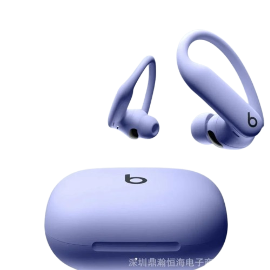 Beats Powerbeats Pro True Wireless Earbuds
