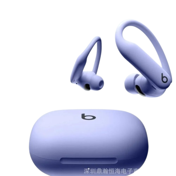 Beats Powerbeats Pro True Wireless Earbuds